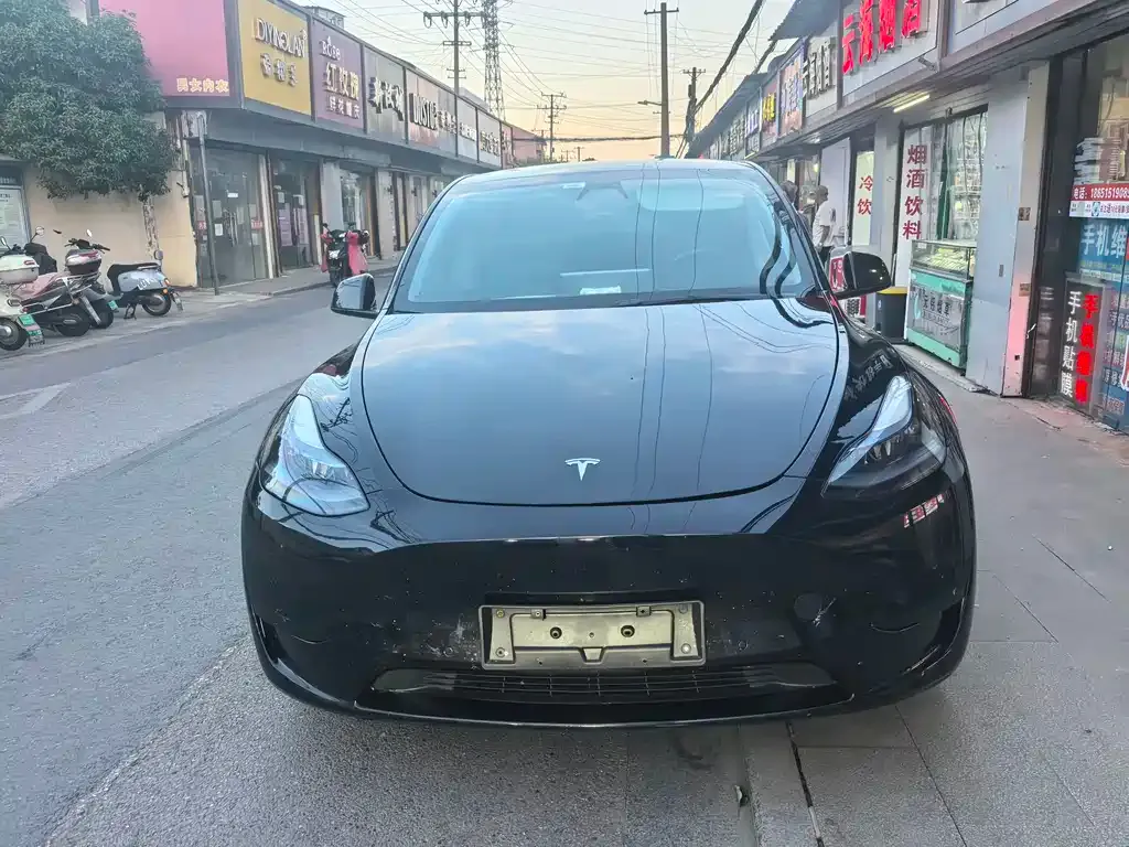 Tesla Model Y 2023 из CN, фото 2
