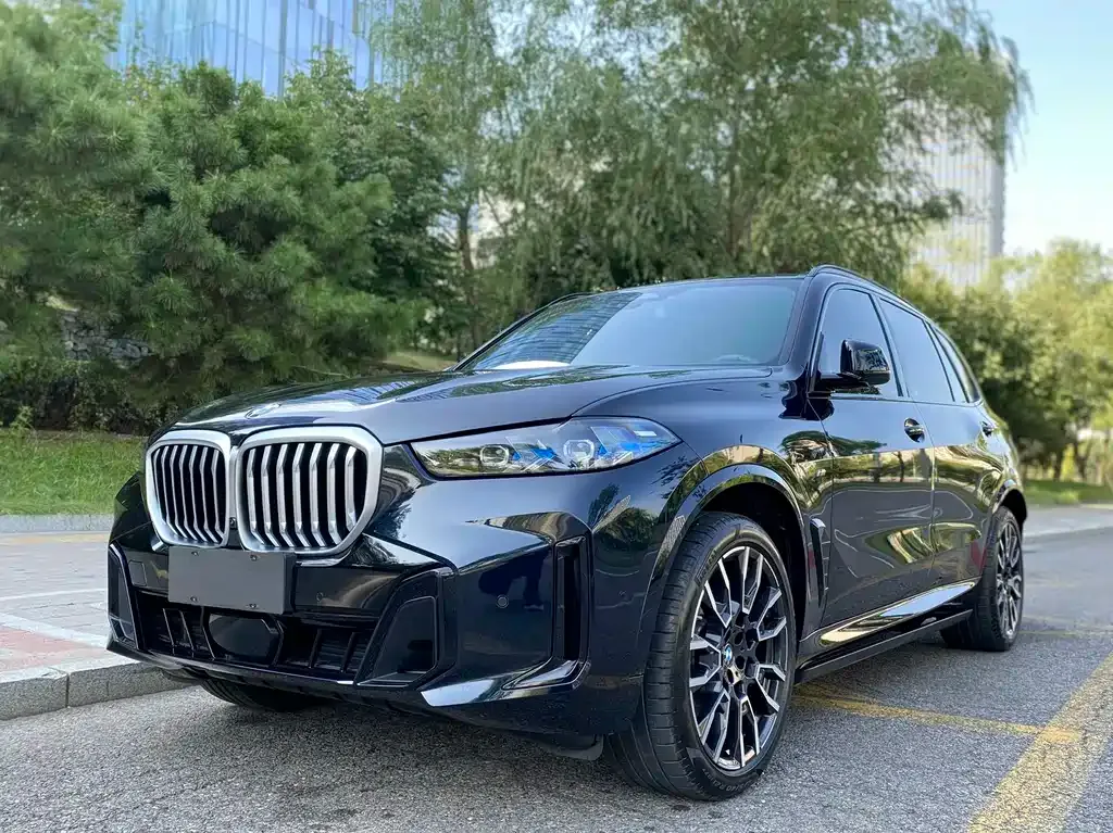 BMW X5 2025 из CN, фото 1