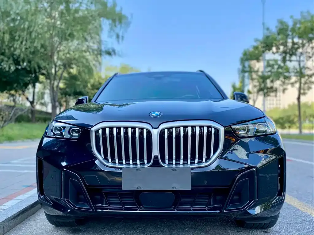 BMW X5 2025 из CN, фото 2