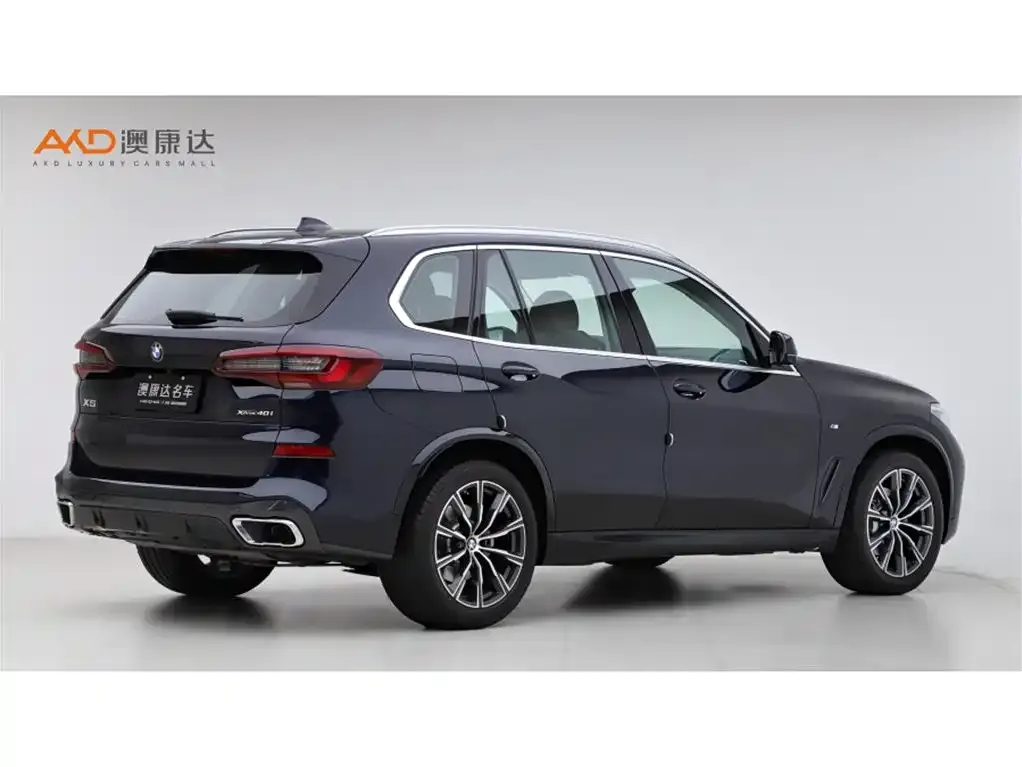 BMW X5 (Import) 2021 из CN, фото 3