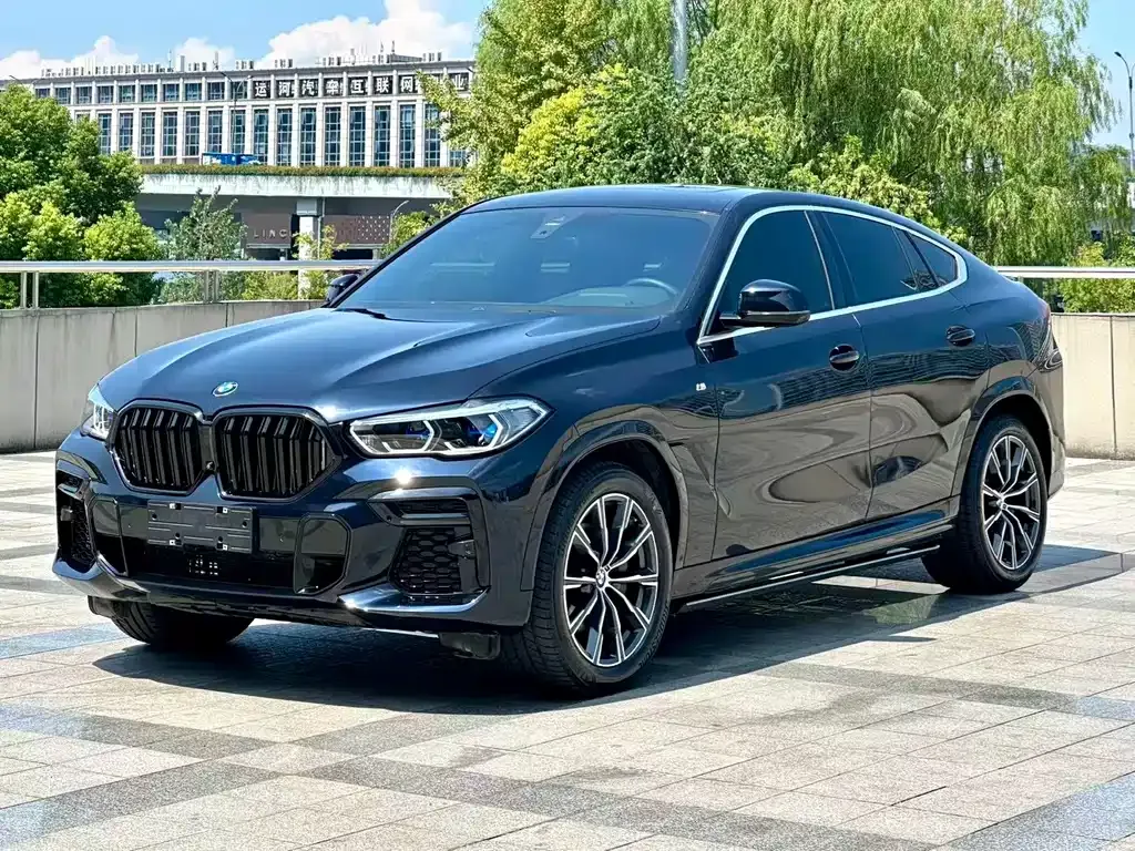 BMW X6 2022 из CN, фото 1