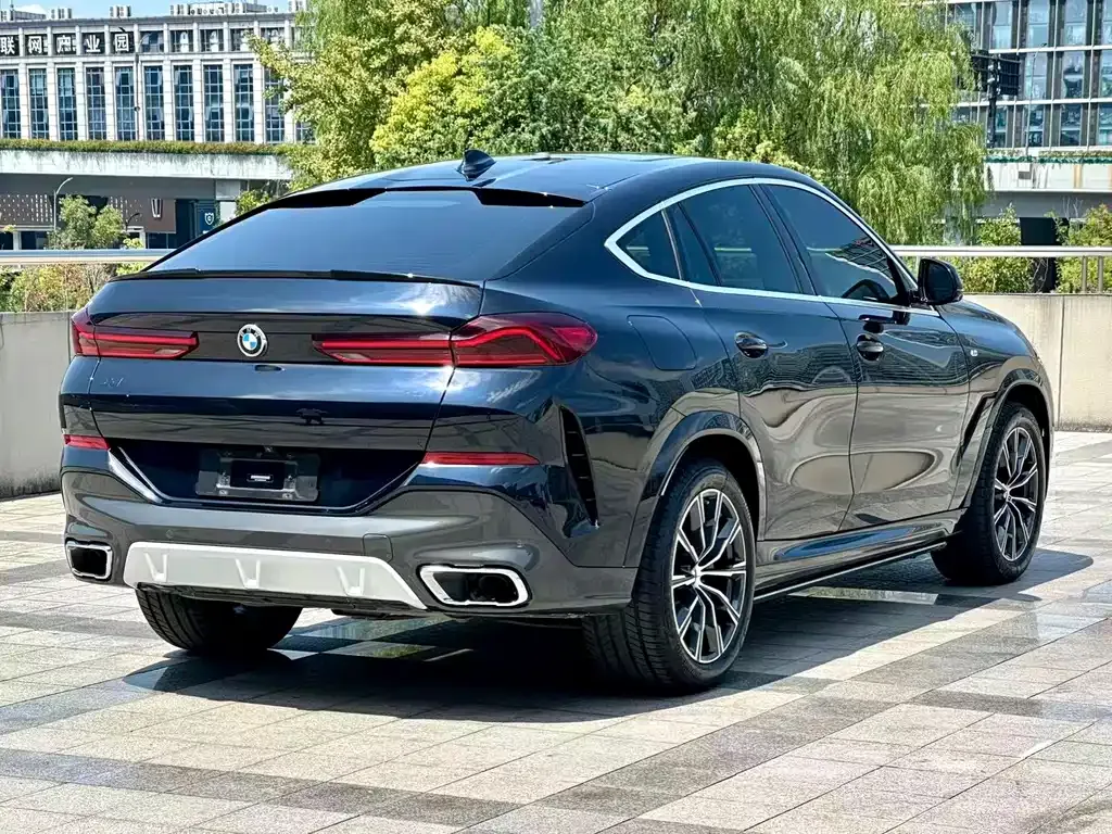 BMW X6 2022 из CN, фото 9