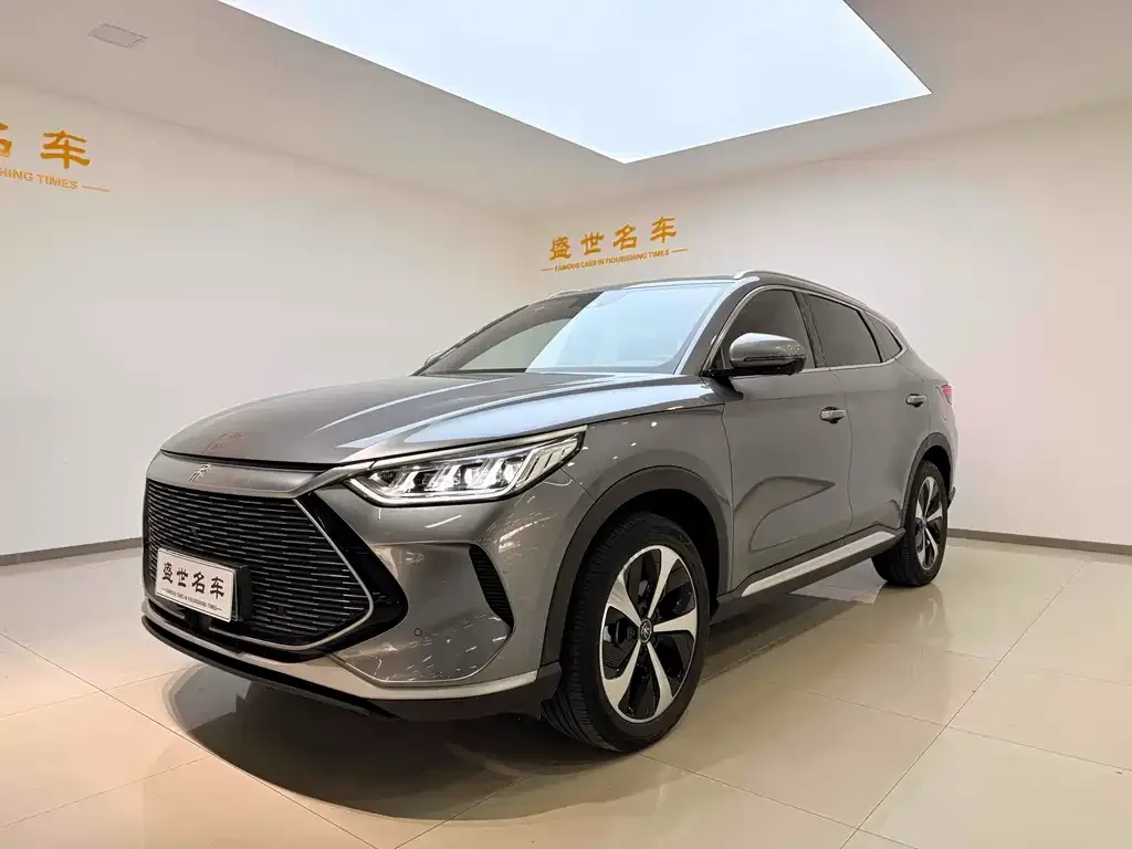 BYD PLUS New Energy 2023 из CN, фото 1