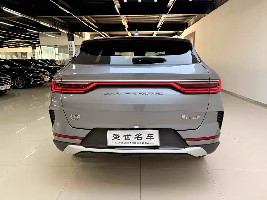 BYD PLUS New Energy 2023 из CN, фото 10