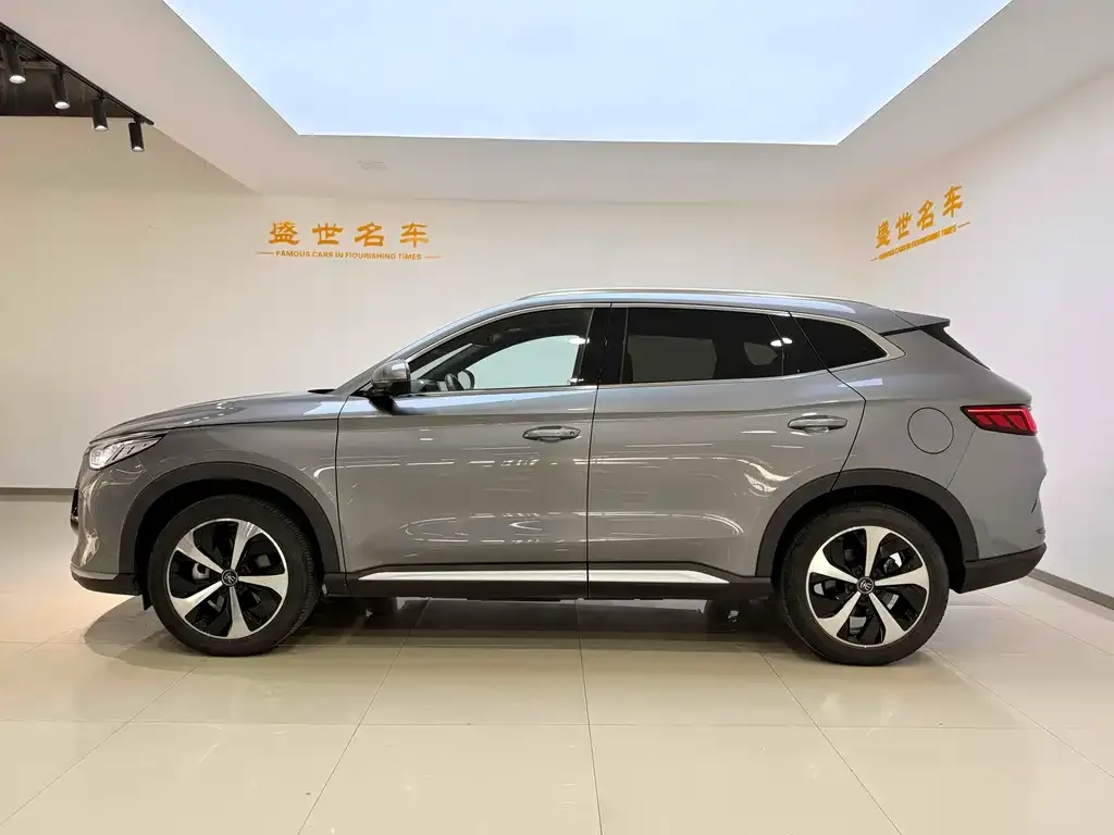 BYD PLUS New Energy 2023 из CN, фото 2