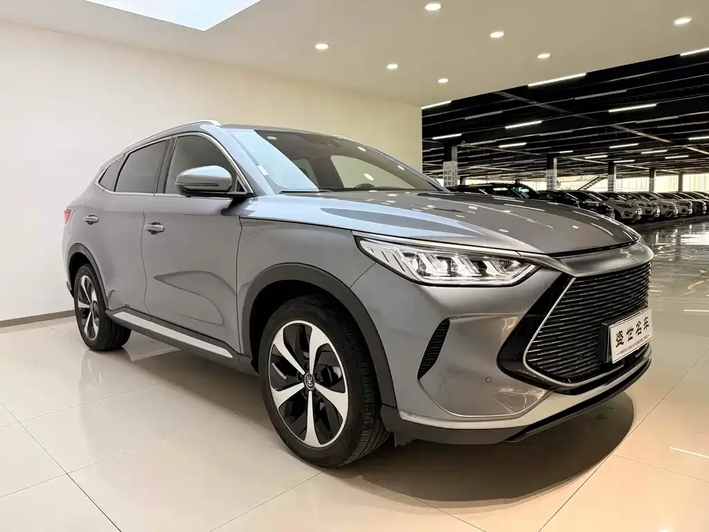 BYD PLUS New Energy 2023 из CN, фото 3
