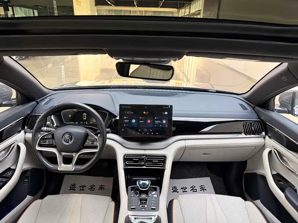 BYD PLUS New Energy 2023 из CN, фото 4