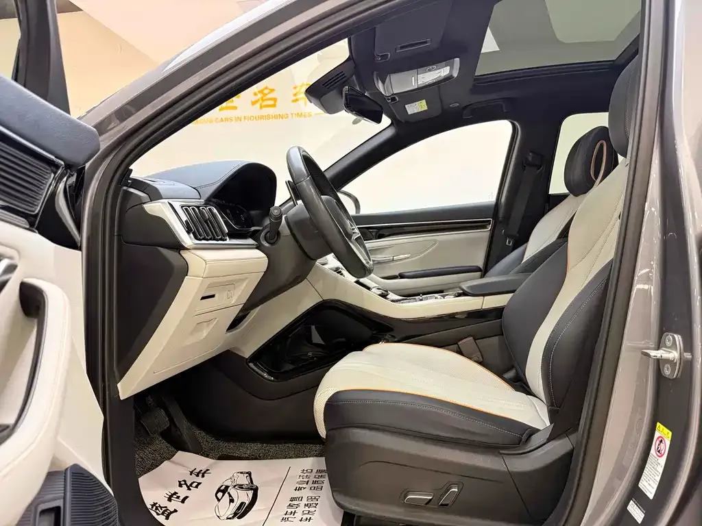 BYD PLUS New Energy 2023 из CN, фото 5