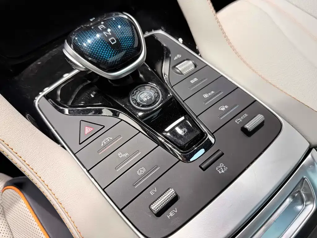 BYD PLUS New Energy 2023 из CN, фото 8