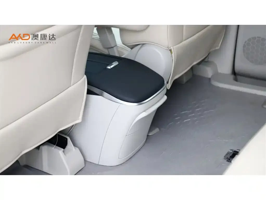 Buick GL8 2023 из CN, фото 10