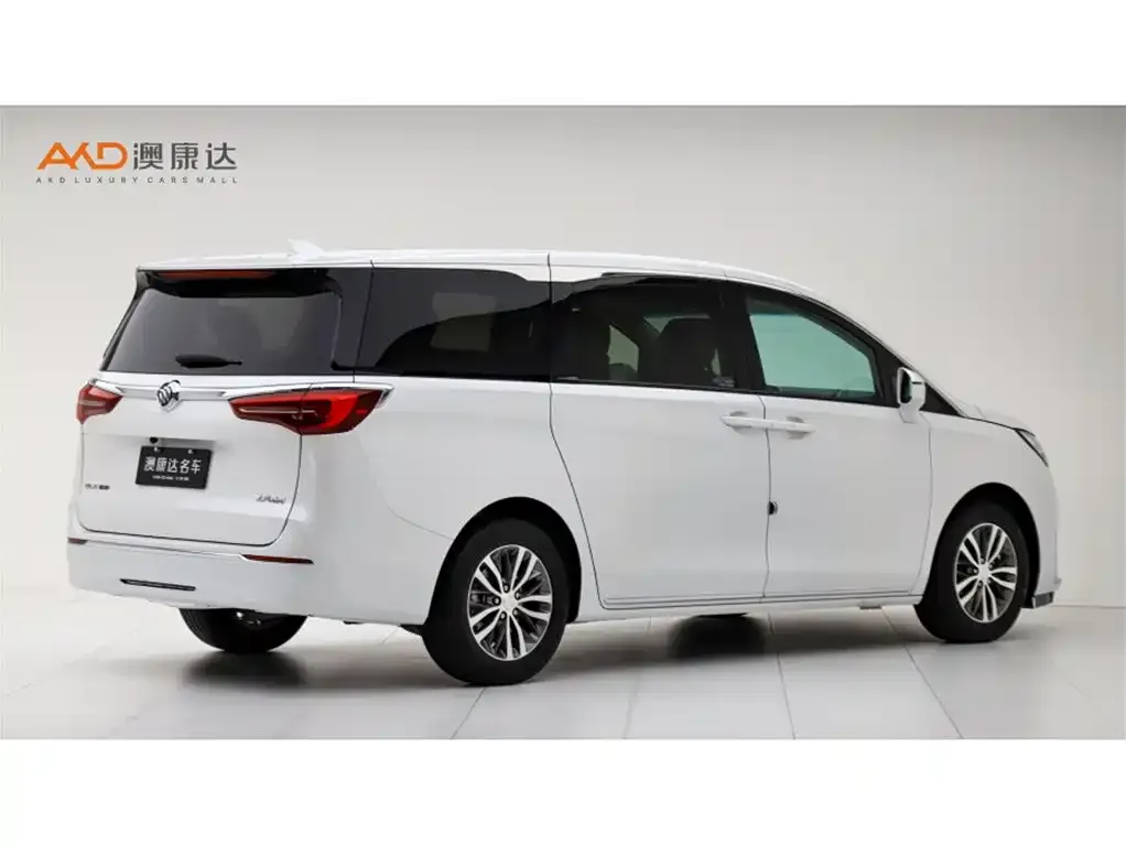 Buick GL8 2023 из CN, фото 3