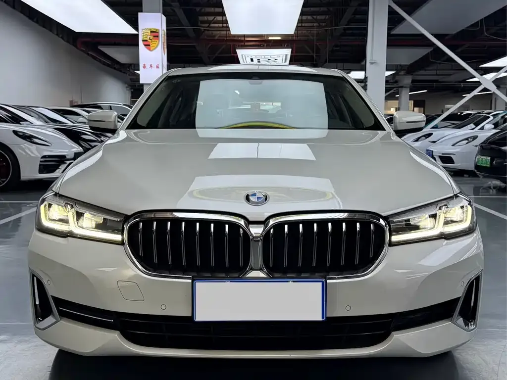 BMW 5 Series 2022 из CN, фото 2