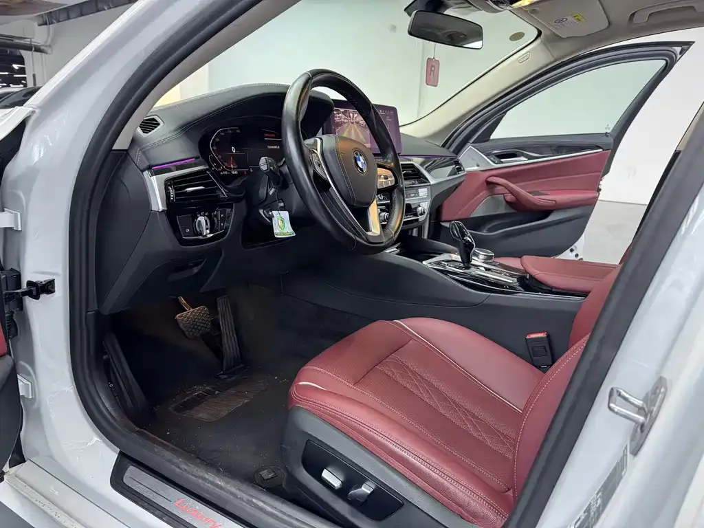 BMW 5 Series 2022 из CN, фото 4