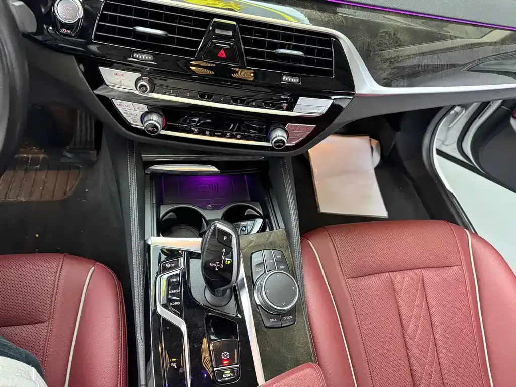BMW 5 Series 2022 из CN, фото 7