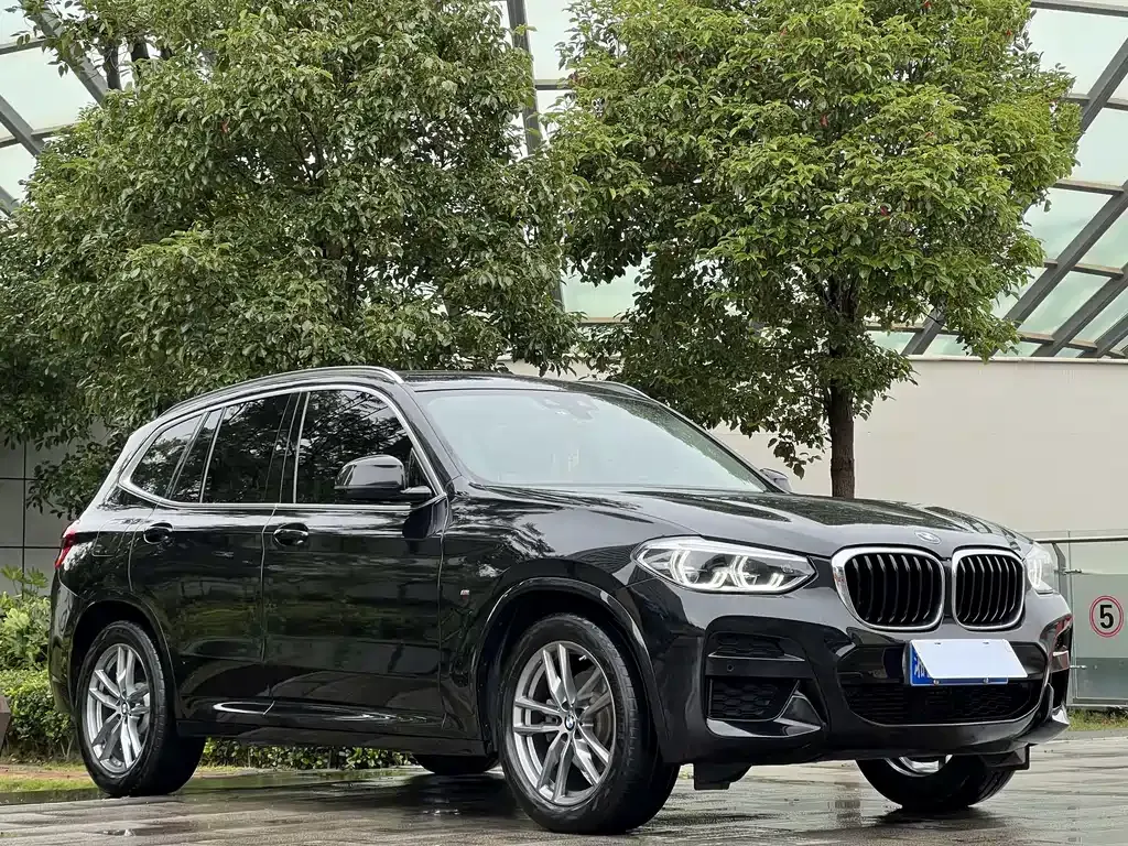 BMW X3 2021 из CN, фото 3