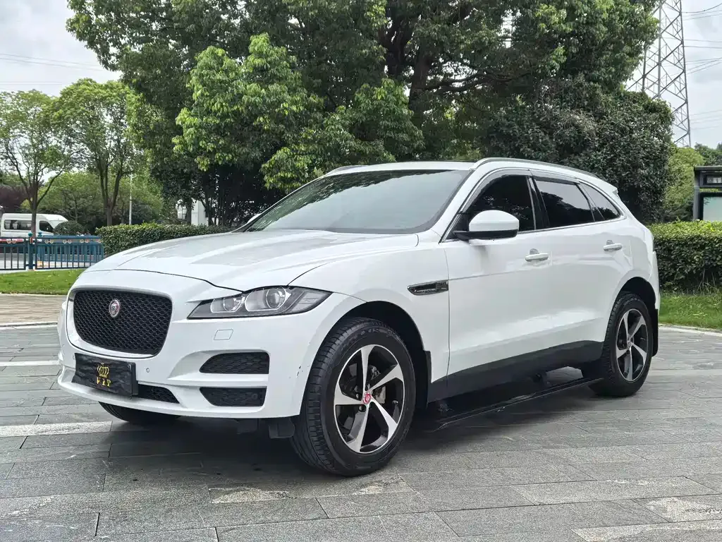 Jaguar F-PACE 2021 из CN, фото 1