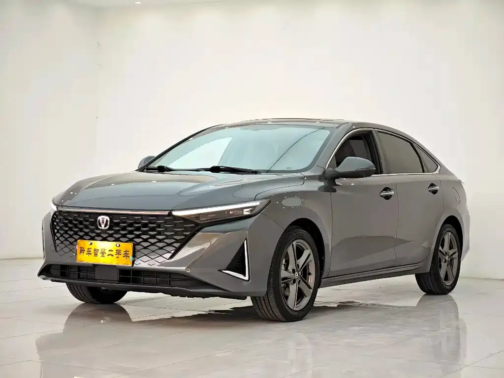 Changan Ruicheng PLUS 2023 из CN, фото 1