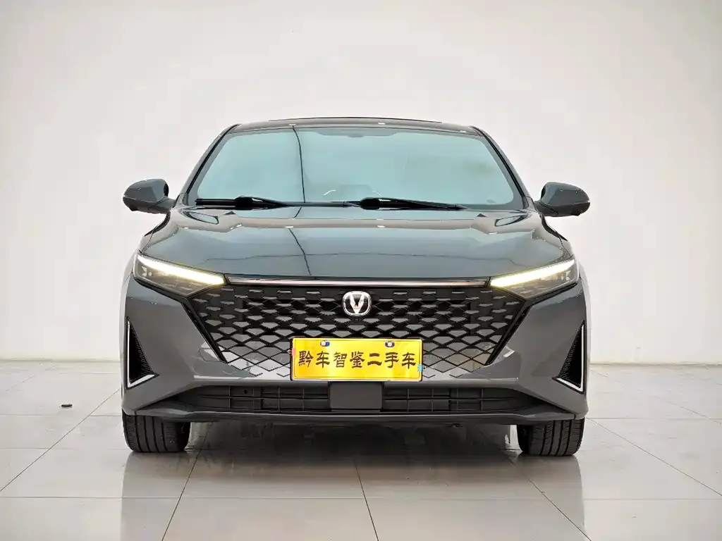 Changan Ruicheng PLUS 2023 из CN, фото 2