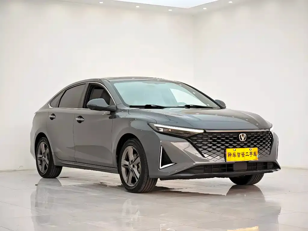 Changan Ruicheng PLUS 2023 из CN, фото 3