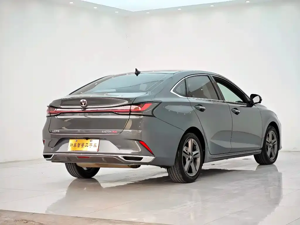 Changan Ruicheng PLUS 2023 из CN, фото 7