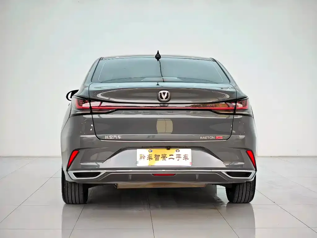 Changan Ruicheng PLUS 2023 из CN, фото 8