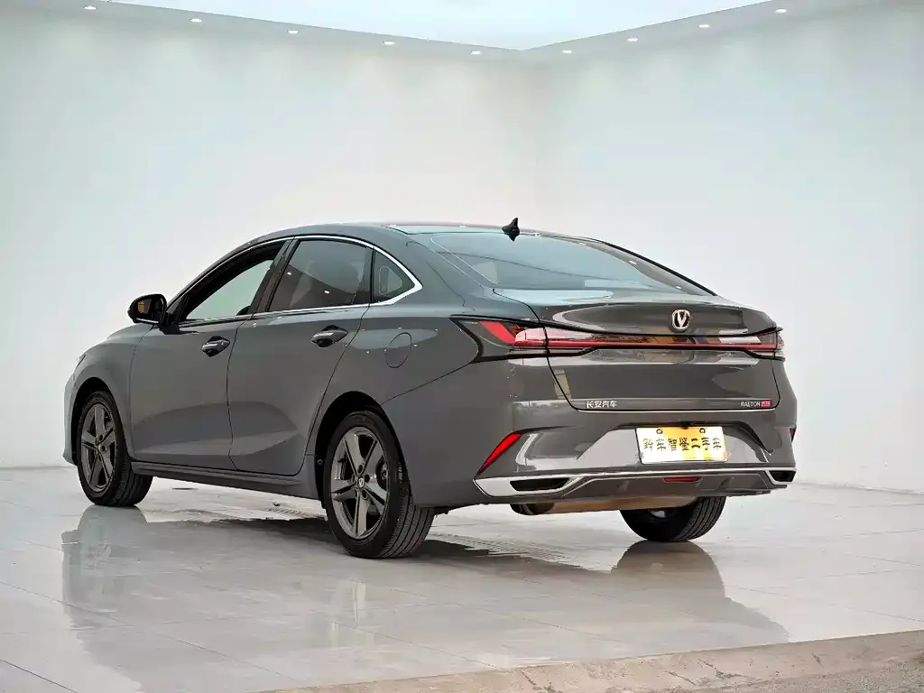 Changan Ruicheng PLUS 2023 из CN, фото 9