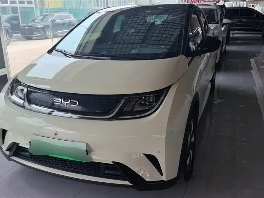 BYD Dolphin 2024 из CN, фото 1