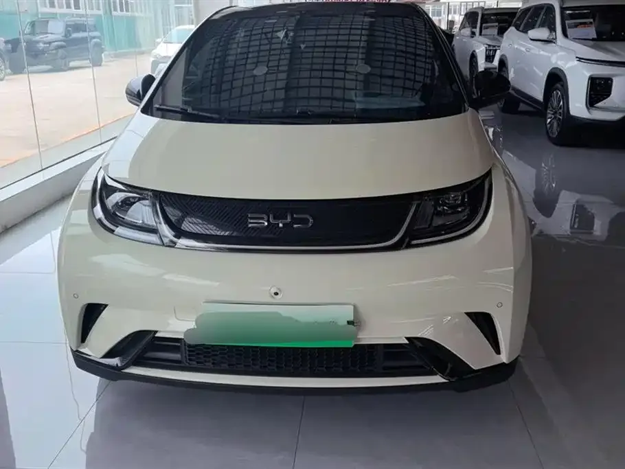 BYD Dolphin 2024 из CN, фото 2