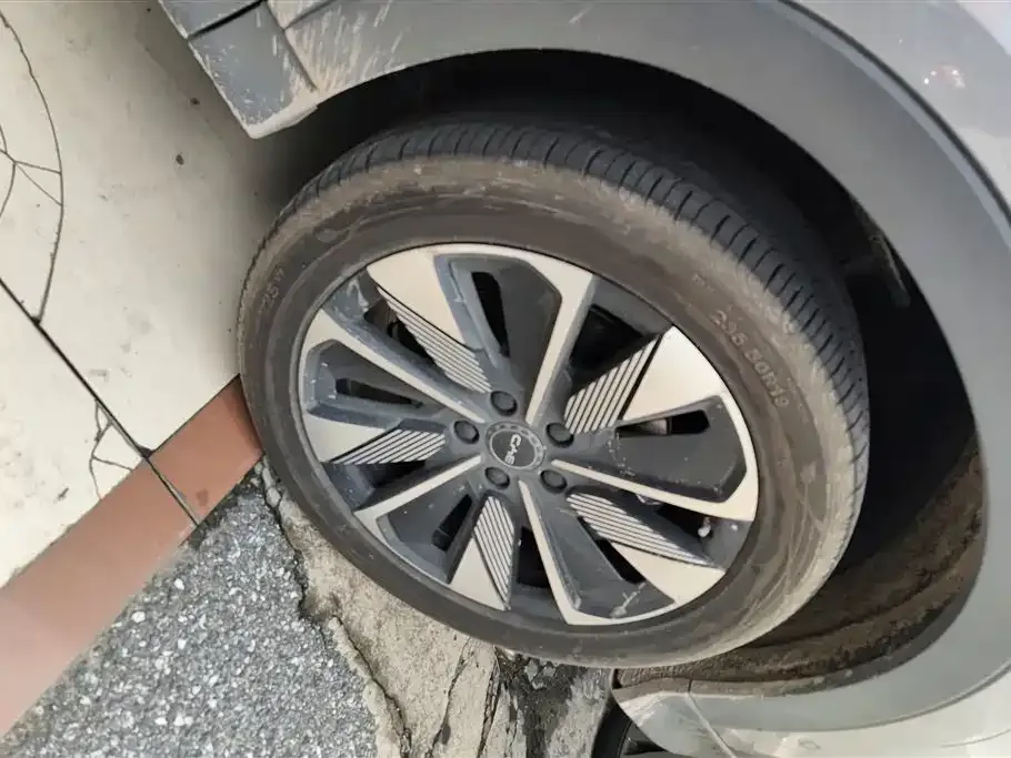 BYD PLUS New Energy 2025 из CN, фото 6