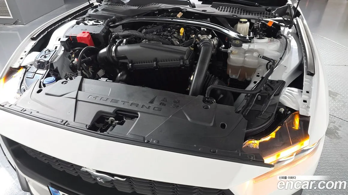 Ford Mustang 2024 из KR, фото 6