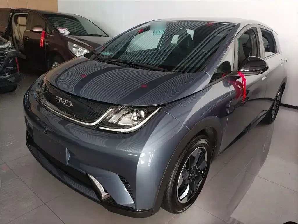 BYD Dolphin 2024 из CN, фото 2