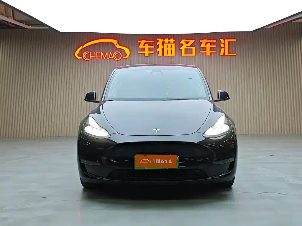 Tesla Model Y 2023 из CN, фото 2