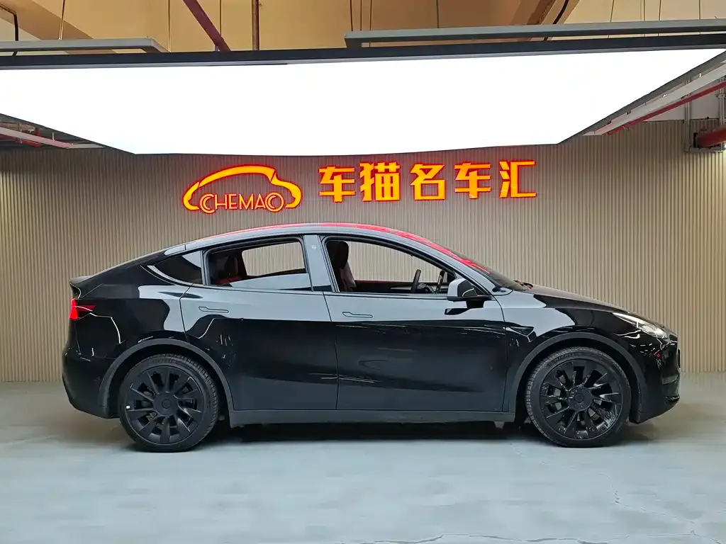Tesla Model Y 2023 из CN, фото 3