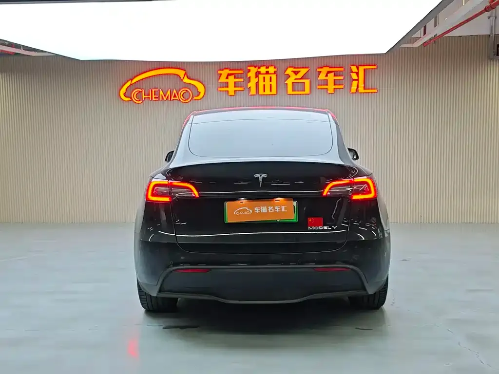 Tesla Model Y 2023 из CN, фото 6