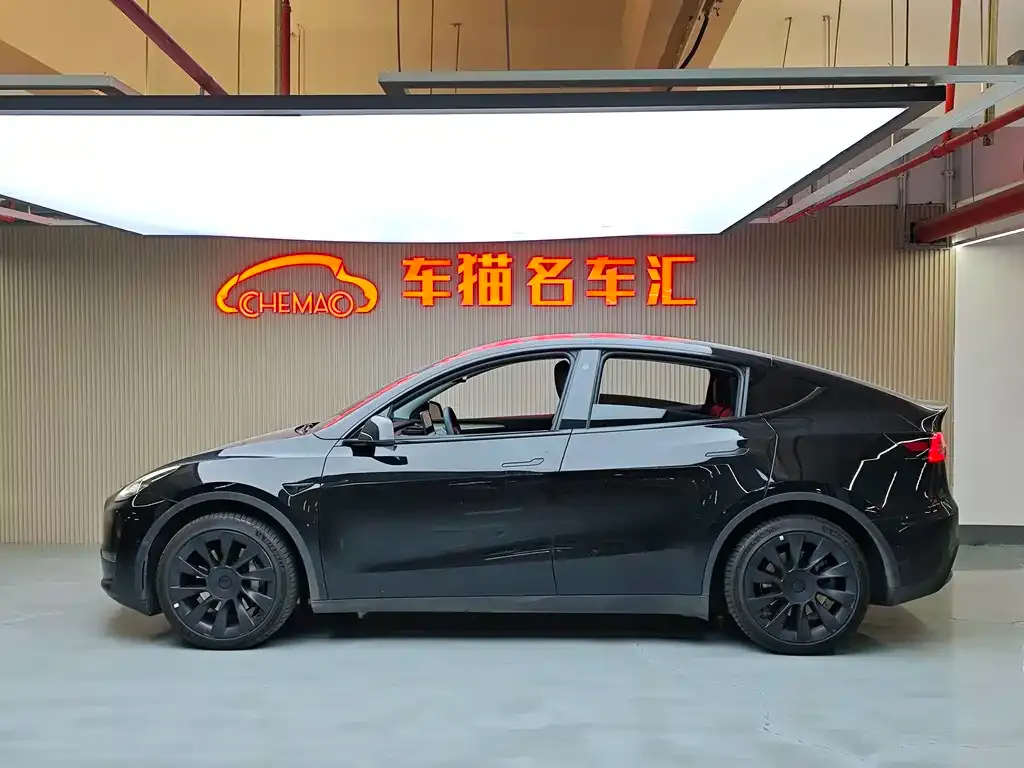 Tesla Model Y 2023 из CN, фото 9