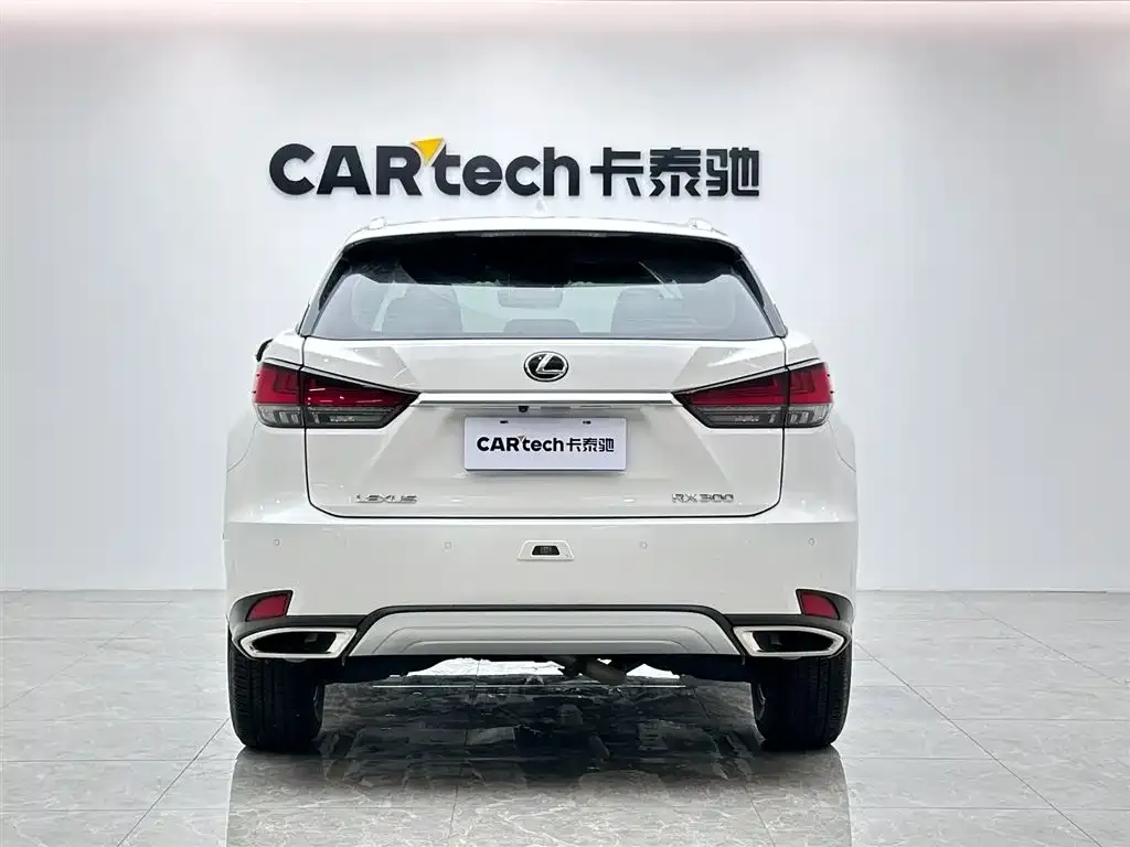 Lexus RX 2022 из CN, фото 4