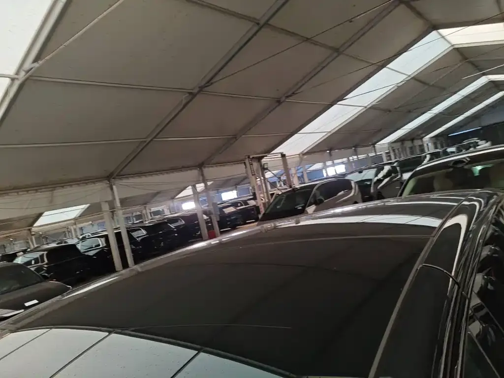 Li Auto MEGA 2024 из CN, фото 8