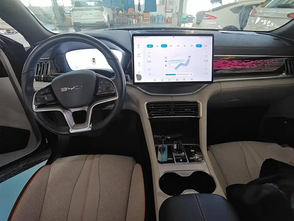 BYD PLUS New Energy 2023 из CN, фото 10