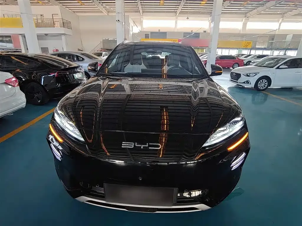 BYD PLUS New Energy 2023 из CN, фото 3