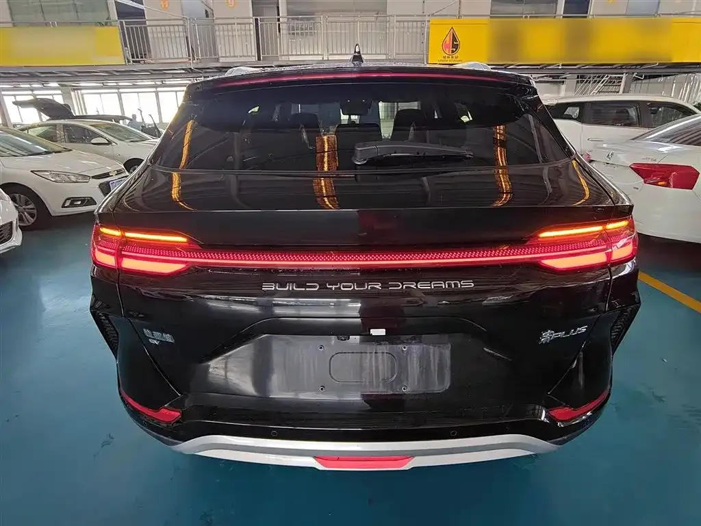 BYD PLUS New Energy 2023 из CN, фото 6