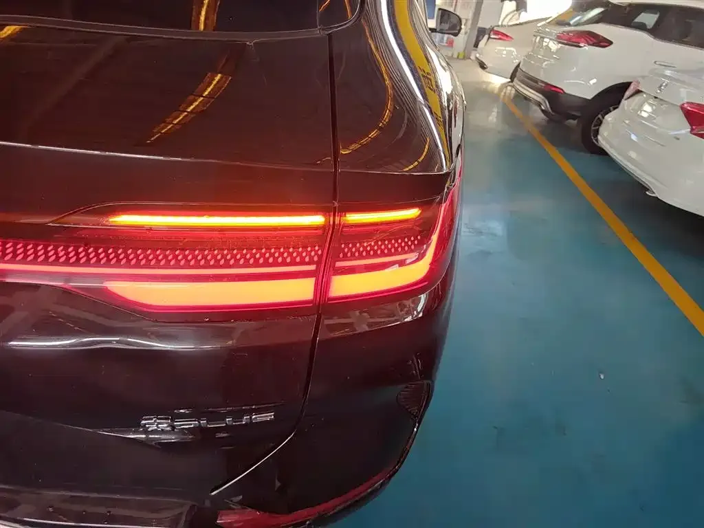 BYD PLUS New Energy 2023 из CN, фото 8