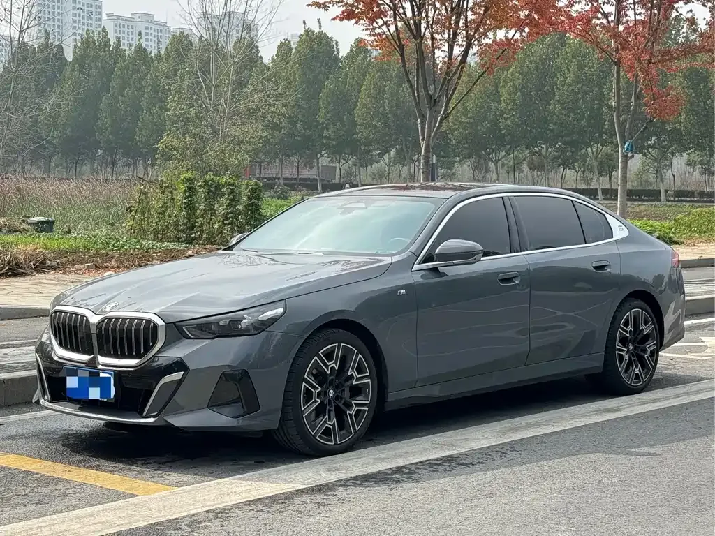 BMW 5 Series 2024 из CN, фото 1