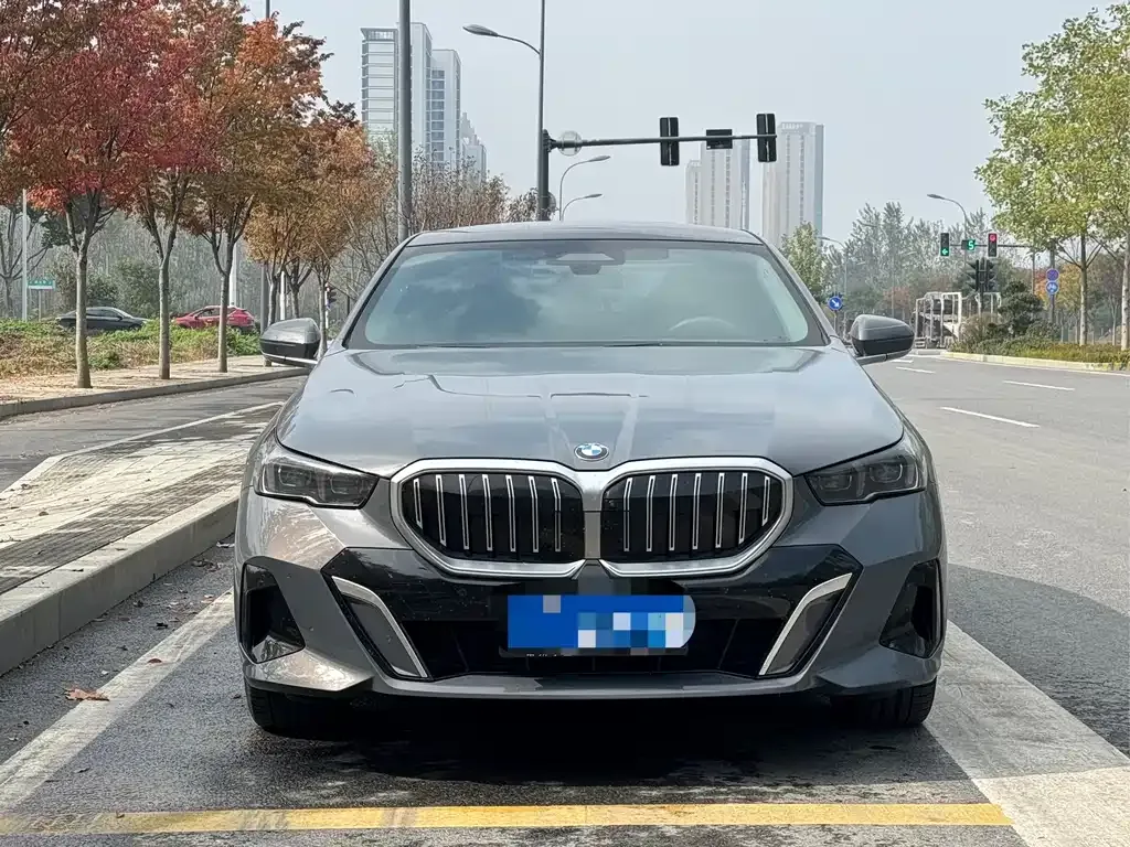 BMW 5 Series 2024 из CN, фото 2