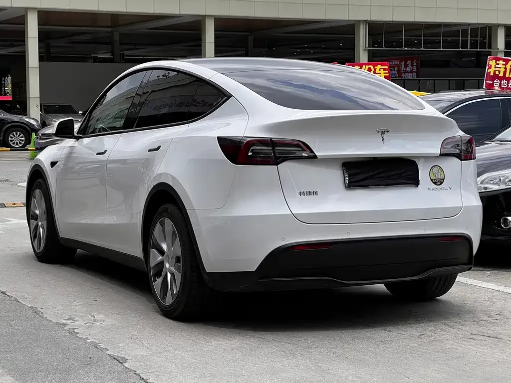 Tesla Model Y 2022 из CN, фото 4