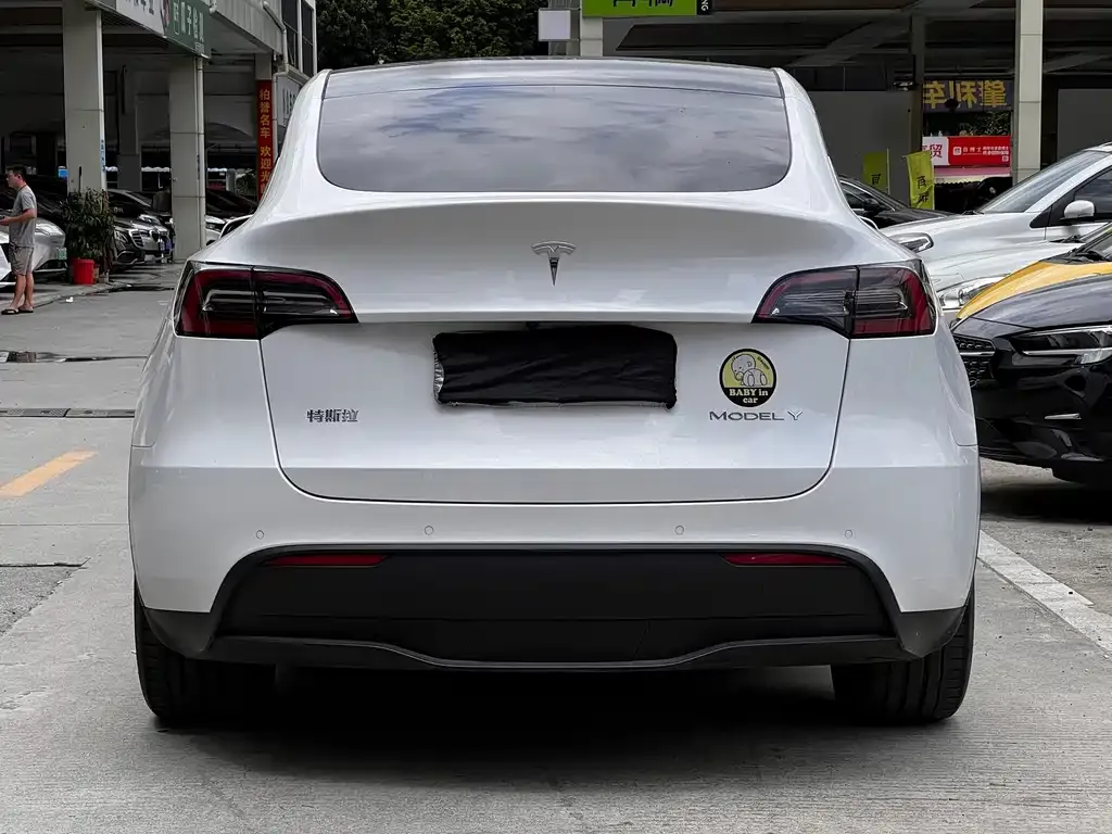 Tesla Model Y 2022 из CN, фото 5