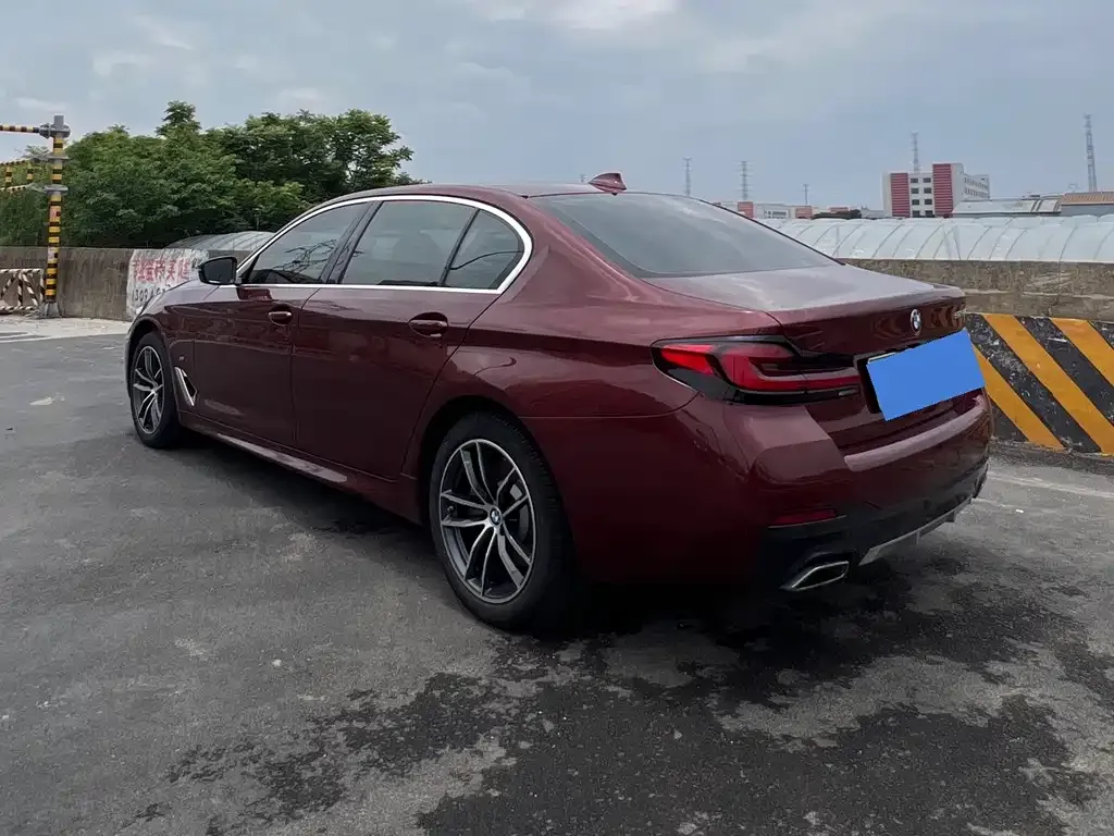 BMW 5 Series 2022 из CN, фото 10
