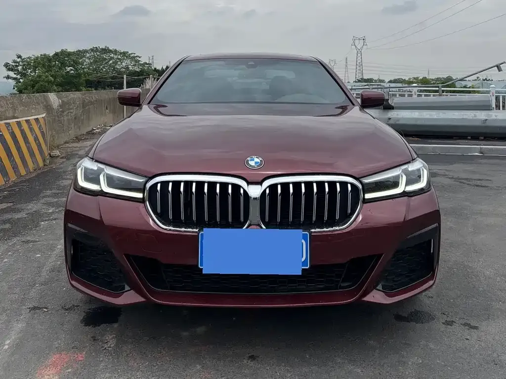 BMW 5 Series 2022 из CN, фото 2