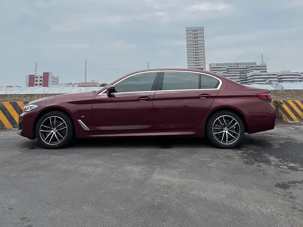 BMW 5 Series 2022 из CN, фото 3