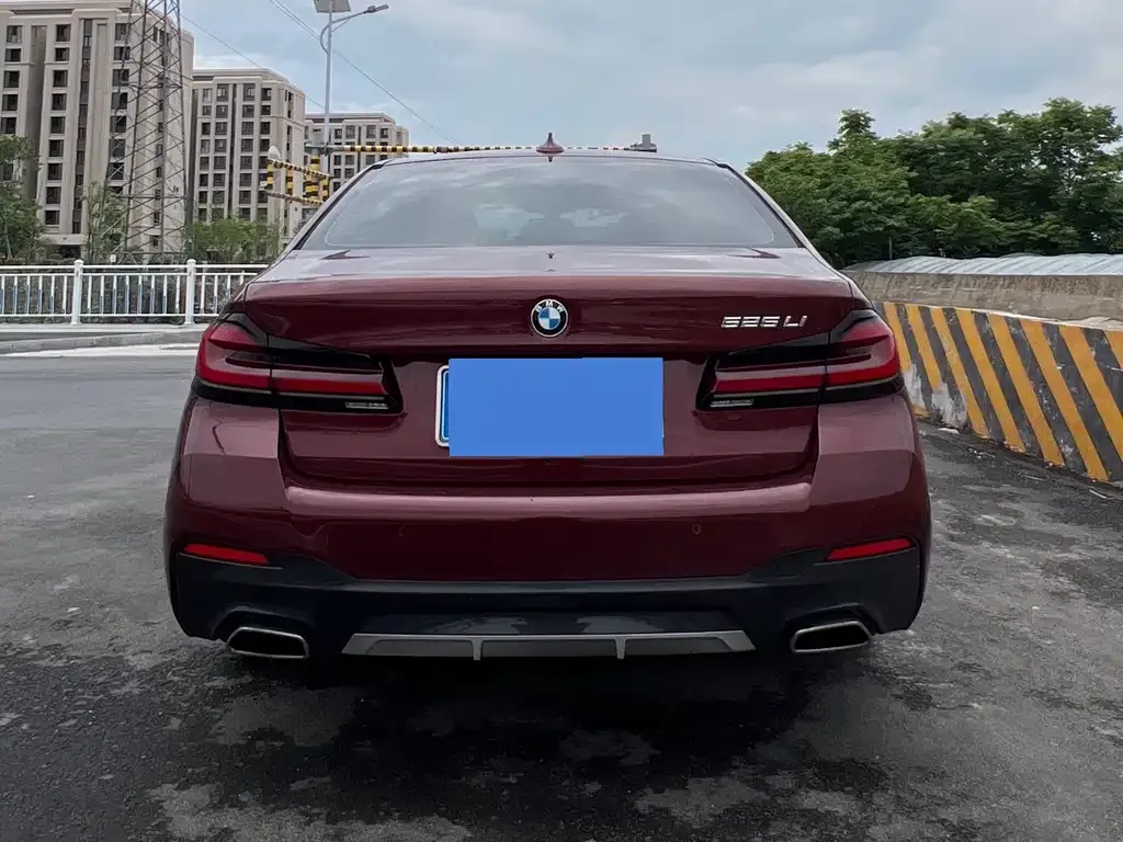 BMW 5 Series 2022 из CN, фото 4
