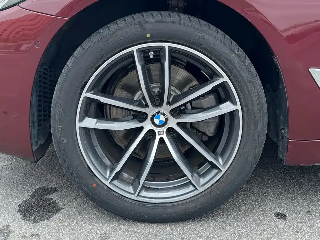 BMW 5 Series 2022 из CN, фото 6